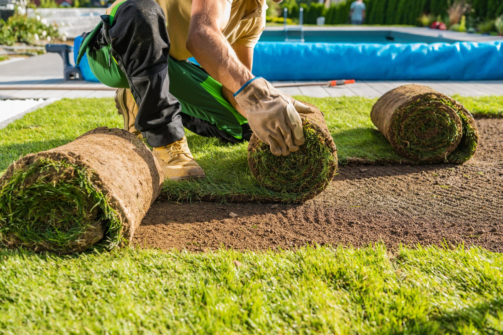Beautiful landscaped backyard with fresh sod installation