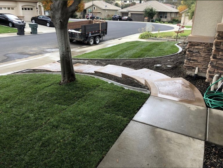 Residential driveway with large tree, curved concrete walkway, stone planter, and landscaped lawn during yard work